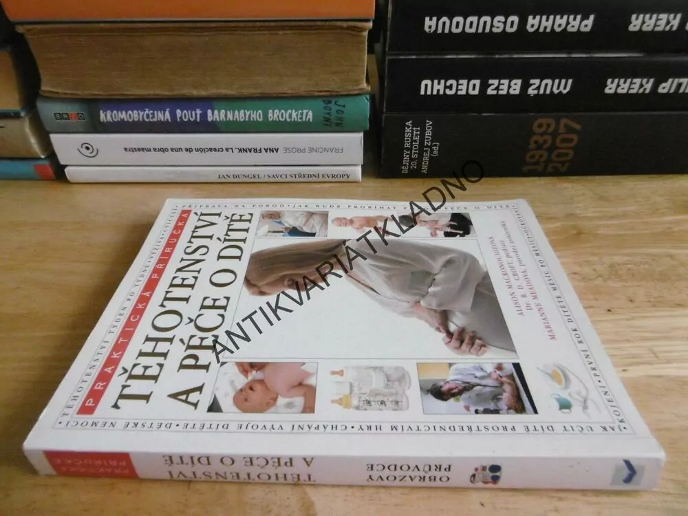 TĚHOTENSTVÍ A PÉČE O DÍTĚ, PRAKTICKÁ PŘÍRUČKA, ALISON MACKONOCHIEOVÁ, **an