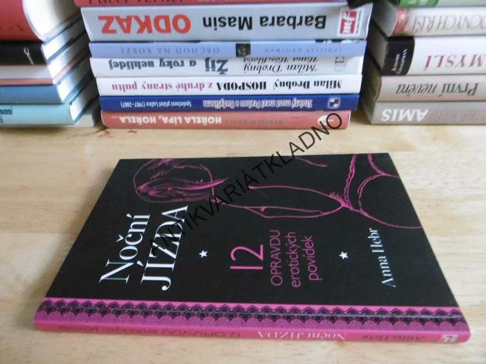NOČNÍ JÍZDA, 12 OPRAVDU EROTICKÝCH POVÍDEK, ANNA HEBR, PETRA HAMPLOVÁ, **an