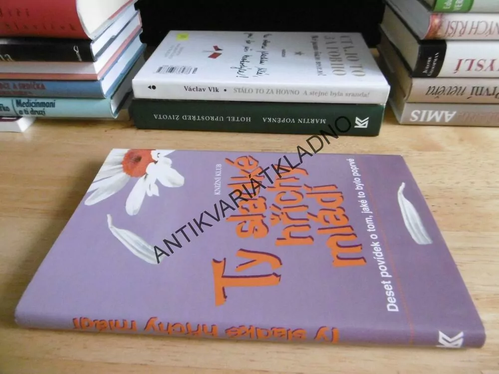 TY SLADKÉ HŘÍCHY MLÁDÍ, DESET POVÍDEK O TOM, JAKÉ TO BYLO POPRVÉ, CHRISTA ROBERTS, **an