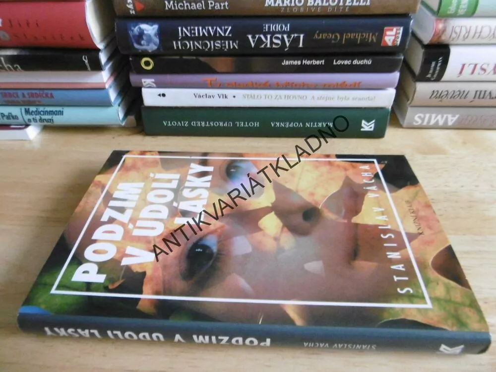 PODZIM V ÚDOLÍ LÁSKY, STANISLAV VÁCHA, **an
