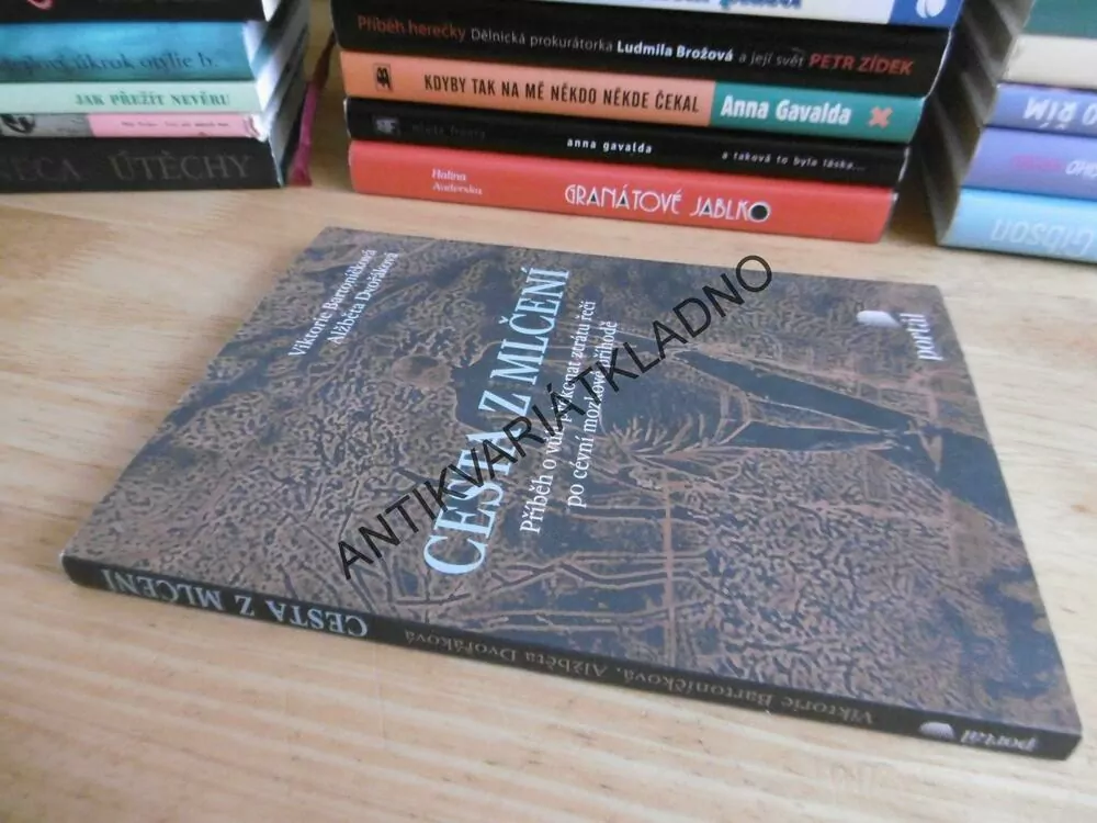 CESTA Z MLČENÍ, VIKTORIE BARTONÍČKOVÁ, ALŽBĚTA DVOŘÁKOVÁ, **an