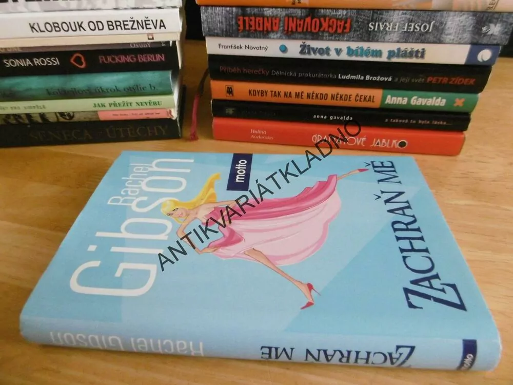ZACHRAŇ MĚ, RACHEL GIBSON, **an