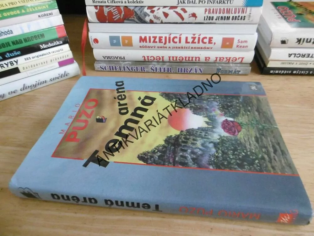 TEMNÁ ARÉNA, MARIO PUZO,**an