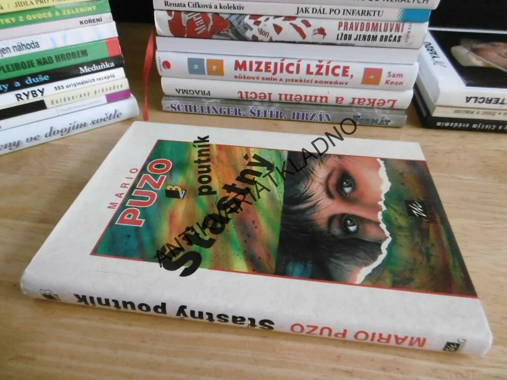 ŠŤASTNÝ POUTNÍK, MARIO PUZO,**an