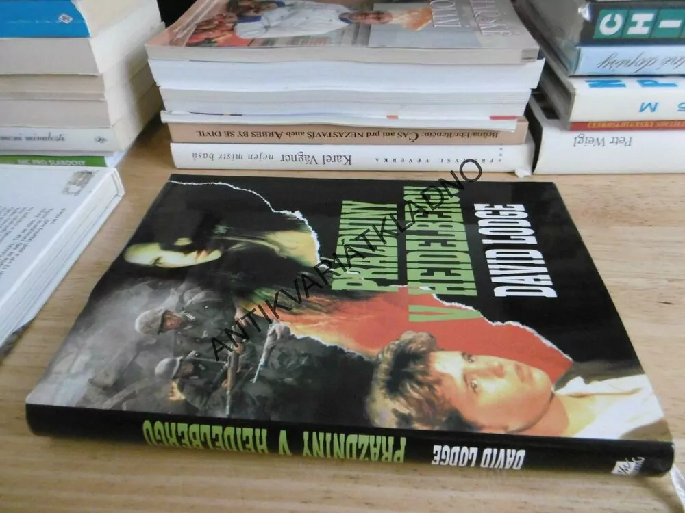 PRÁZDNINY V HEIDELBERGU, DAVID LODGE, **an