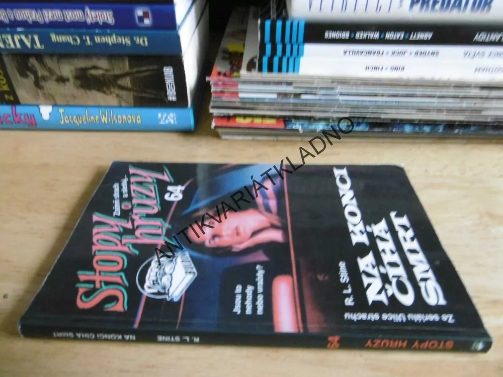 STOPY HRŮZY 64 - NA KONCI ČÍHÁ SMRT, R.L. STINE