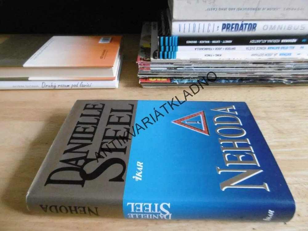 NEHODA, DANIELLE STEEL, **an