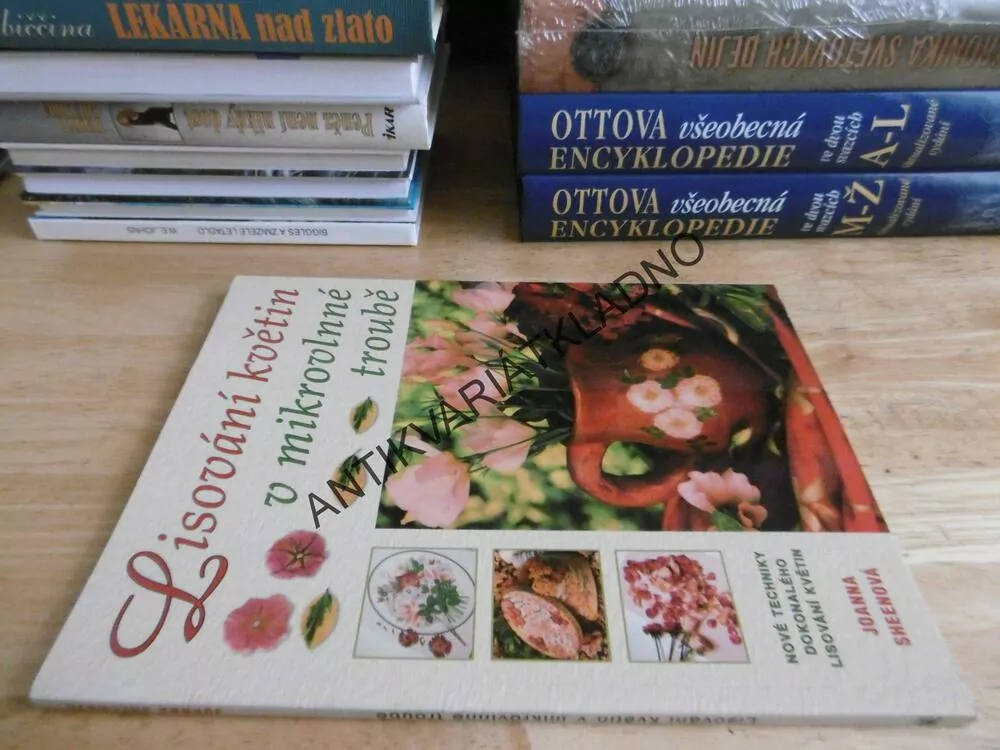 LISOVÁNÍ KVĚTIN V MIKROVLNNÉ TROUBĚ, JOANA SHEENOVÁ, **an