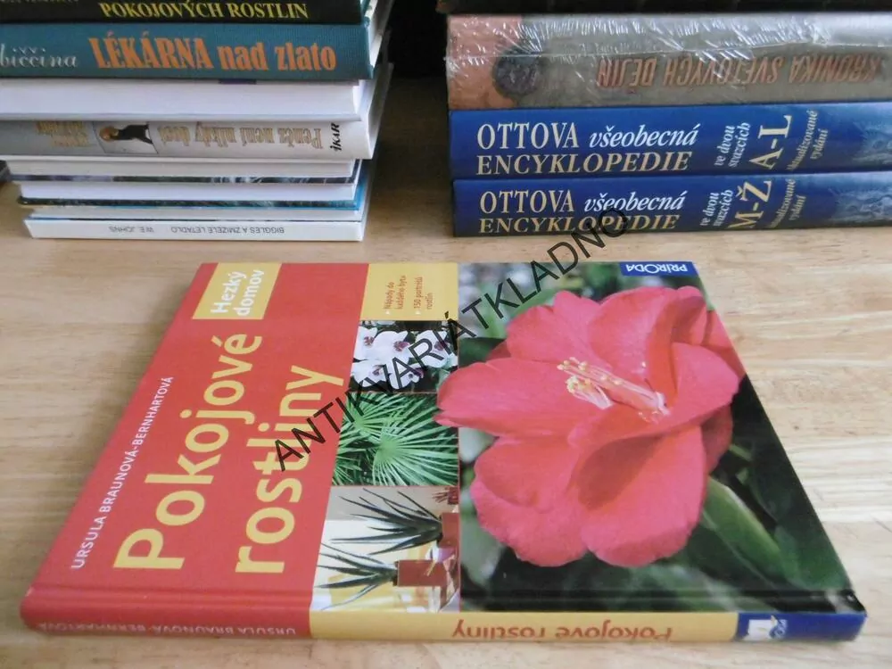 POKOJOVÉ ROSTLINY, BRAUNOVÁ-BERNHARTOVÁ, **an