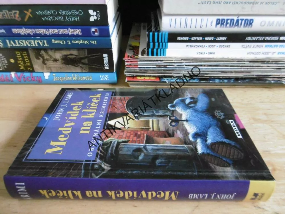 MEDVÍDEK NA KLÍČEK, JOHN J.LAMB, **an