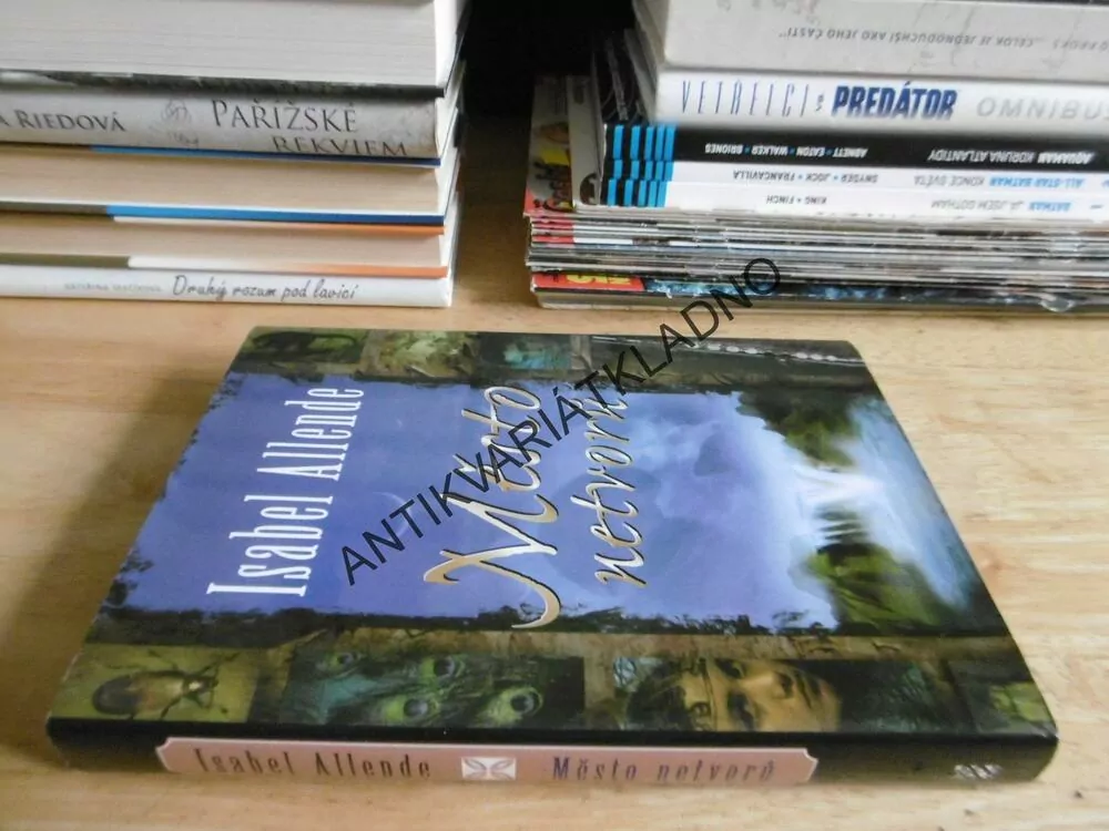 MĚSTO NETVORŮ, ISABEL ALLENDE, **an