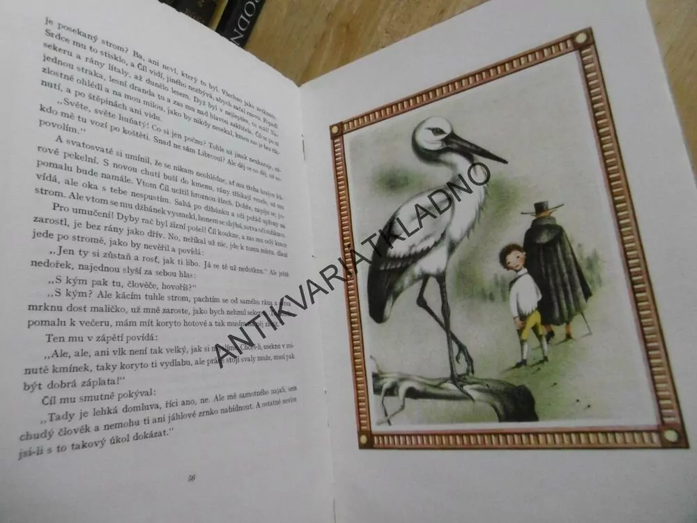 ZÁHON ROZMARÝNKY, JOSEF ŠTEFAN KUBÍN, **an