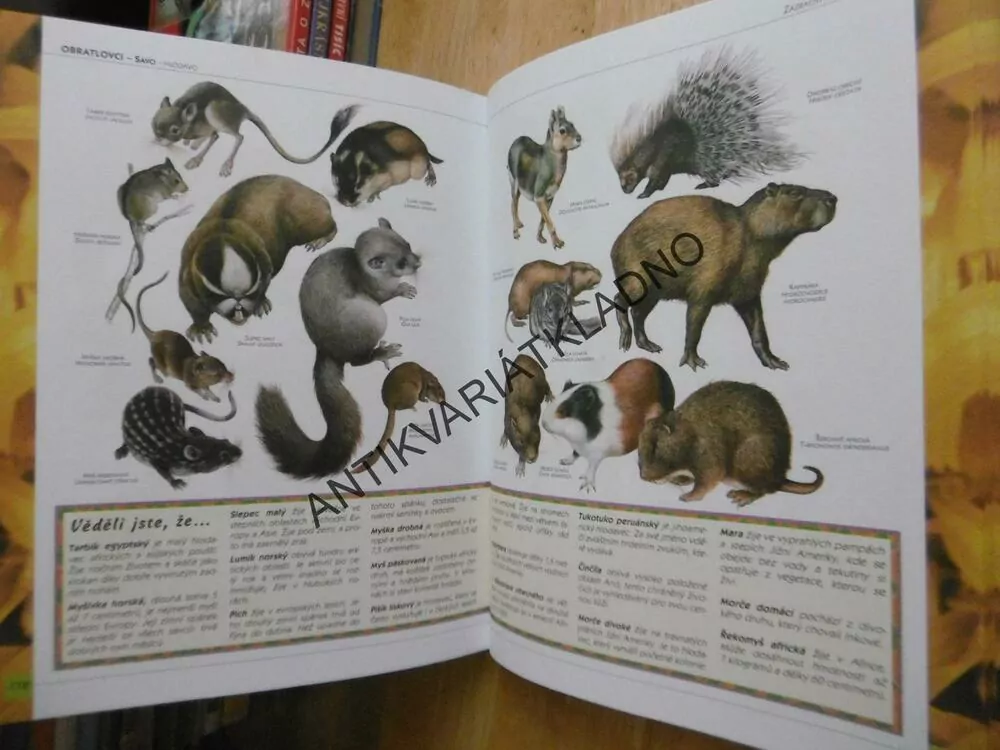 ZÁZRAČNÝ SVĚT ŽIVOČICHŮ OD PRVOKŮ PO SAVCE, **an