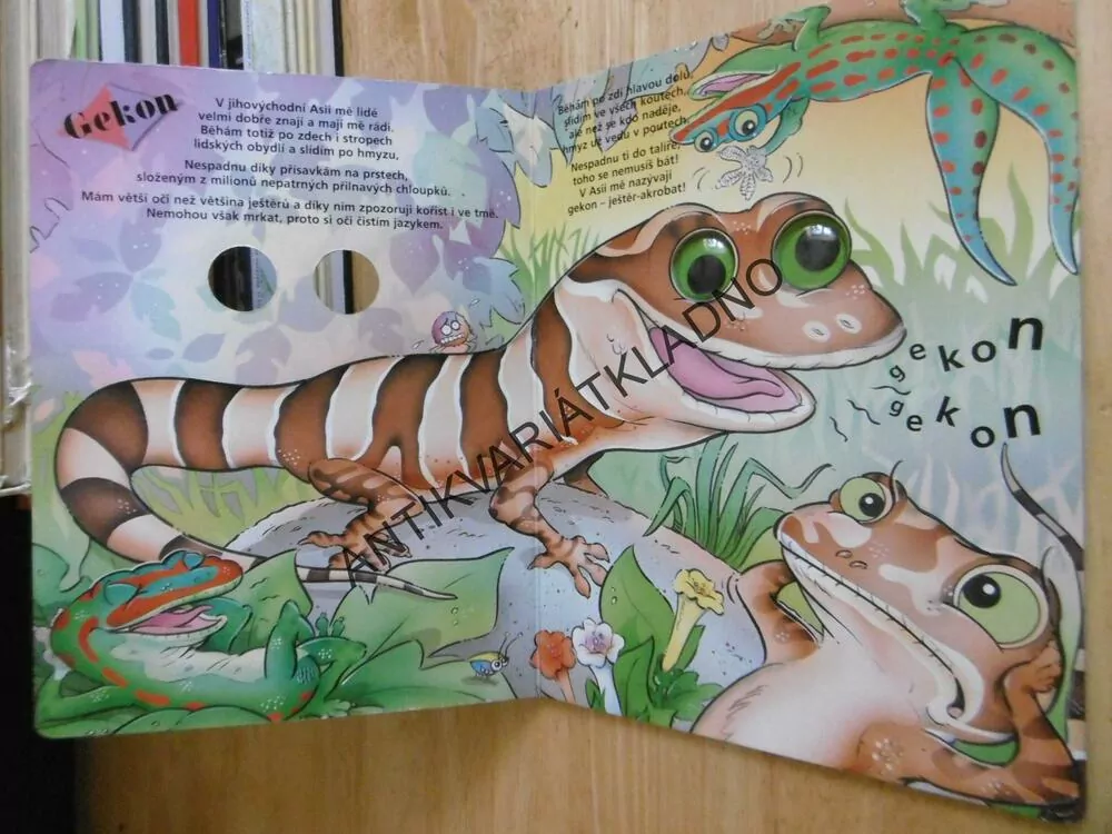 CIZOKRAJNÍ PLAZI, EDICE KDO SE DÍVÁ?, **an