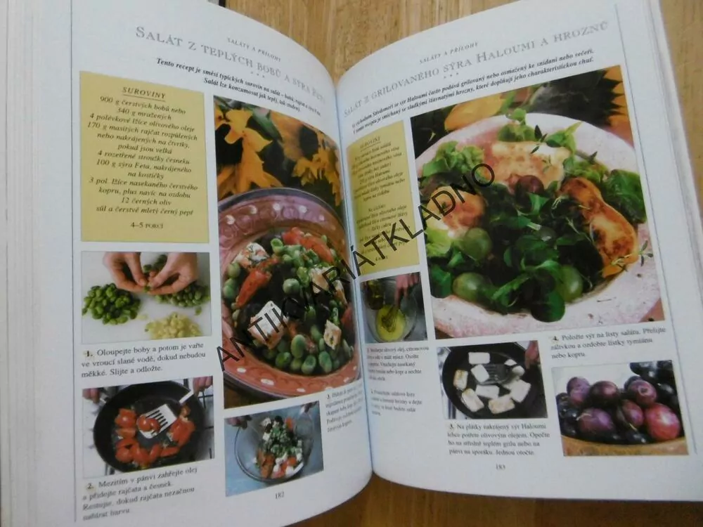 GRILOVÁNÍ, PRAKTICKÁ PŘÍRUČKA, **an