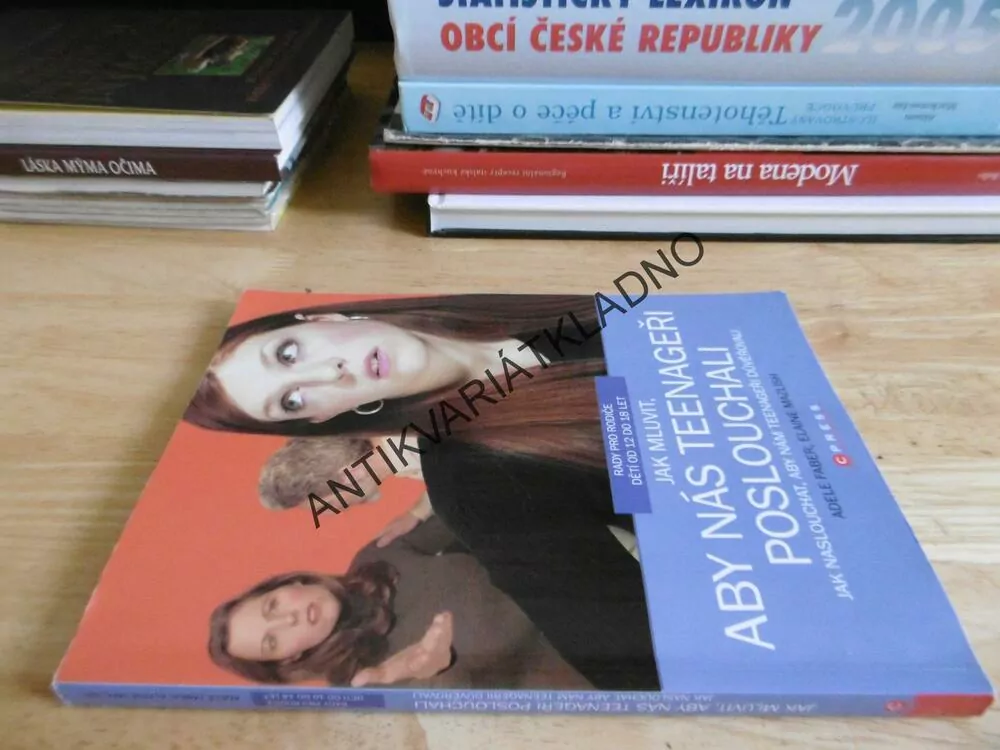 JAK MLUVIT, ABY NÁS TEENAGEŘI POSLOUCHALI, FABER, **an