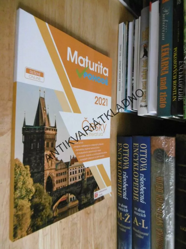 MATURITA V POHODĚ, ČESKÝ JAZYK A LITERATURA
