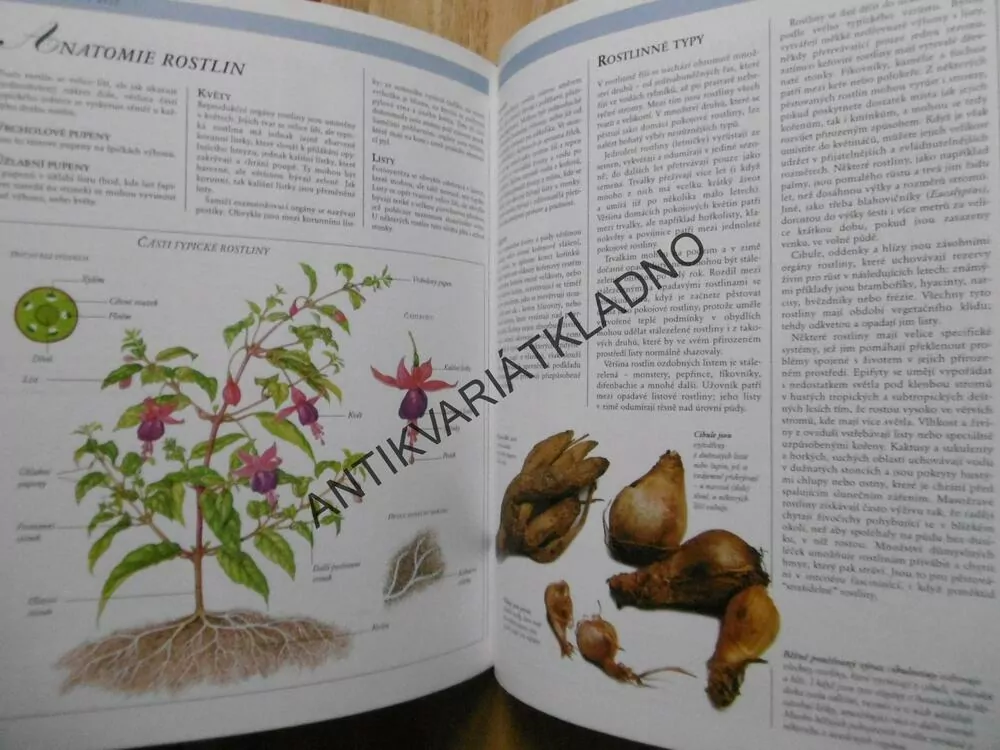 ROSTLINY V BYTĚ,POKOJOVÉ KVĚTINY,  READERS DIGEST VÝBĚR, **an