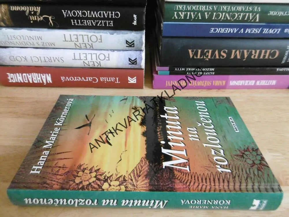 MINUTA NA ROZLOUČENOU, HANA MARIE KÖRNEROVÁ, **an