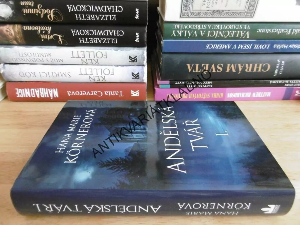 ANDĚLSKÁ TVÁŘ 1., HANA MARIE KÖRNEROVÁ, **an