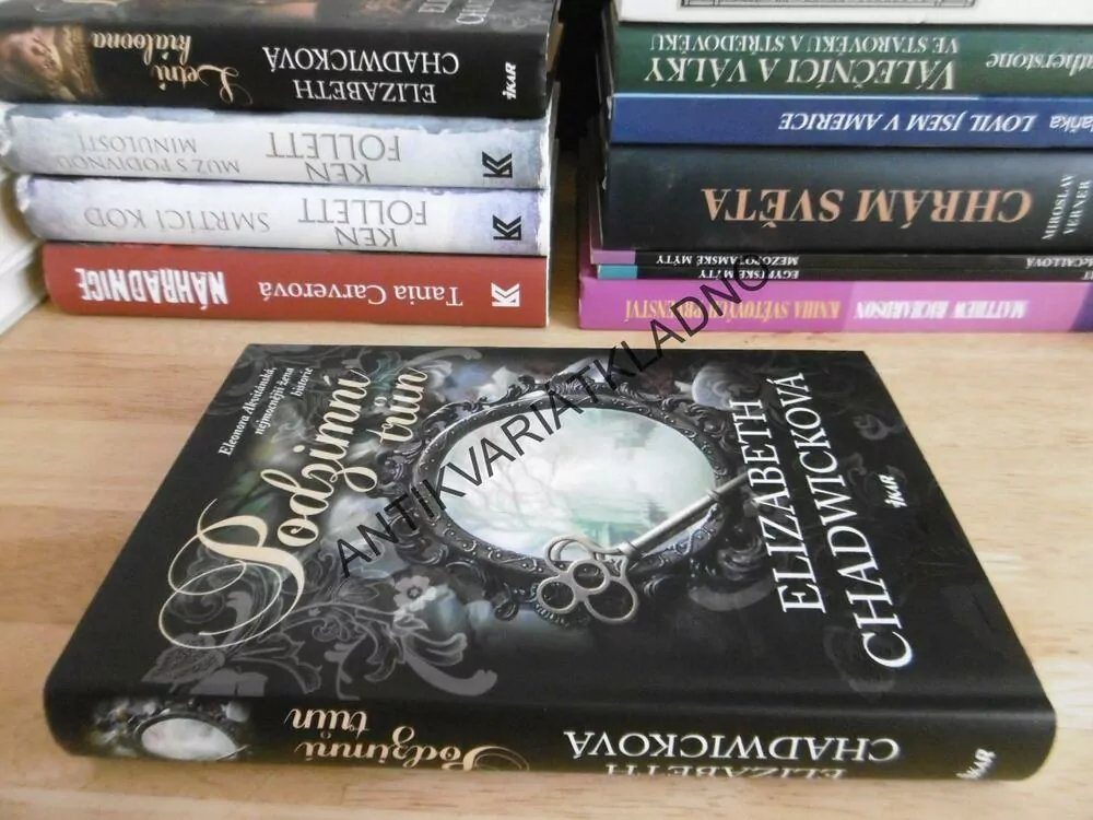 PODZIMNÍ TRŮN, ELIZABETH CHADWICKOVÁ, **an