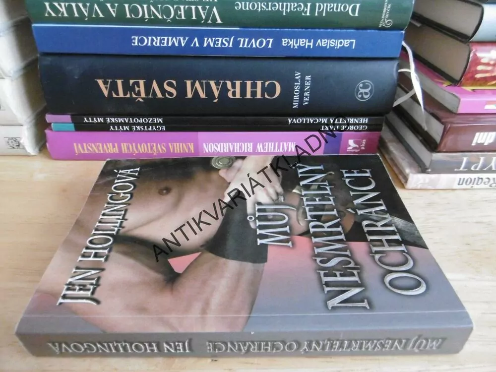 MŮJ NESMRTELNÝ OBRÁNCE, JEN HOLLINGOVÁ, **an