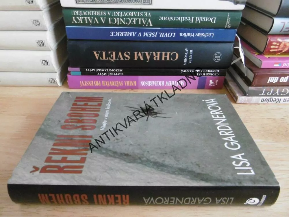 ŘEKNI SBOHEM, LISA GARDNEROVÁ, **an