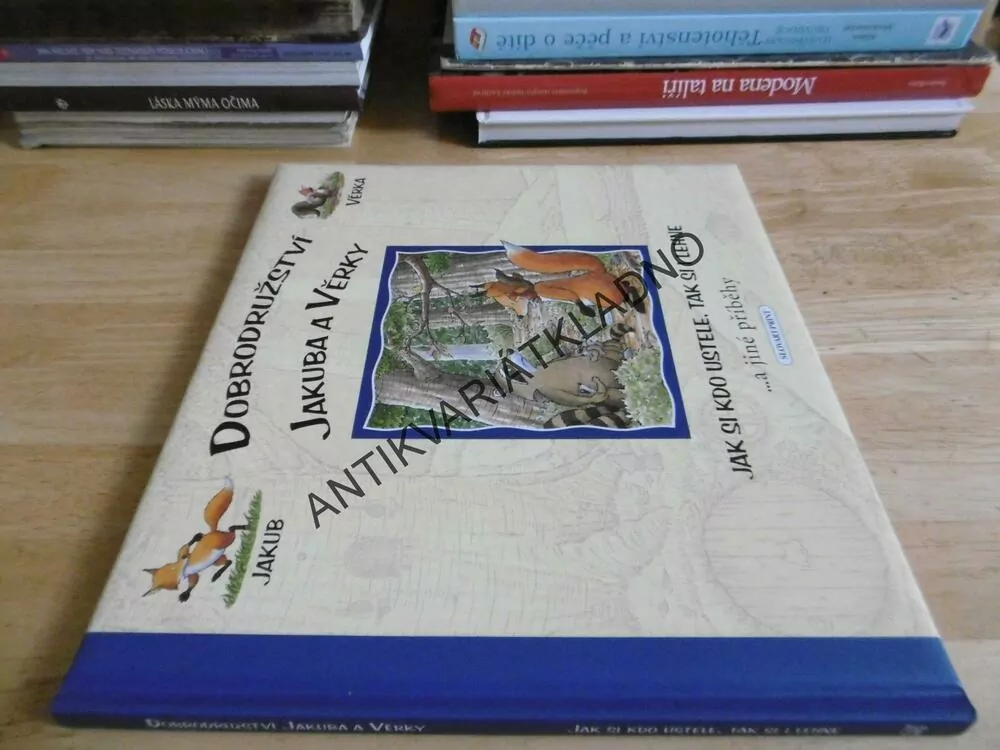 DOBRODRUŽSTVÍ JAKUBA A VĚRKY, JAK SI KDO USTELE, TAK SI LEHNE A JINÉ PŘÍBĚHY, JAKUB, VĚRKA, **an