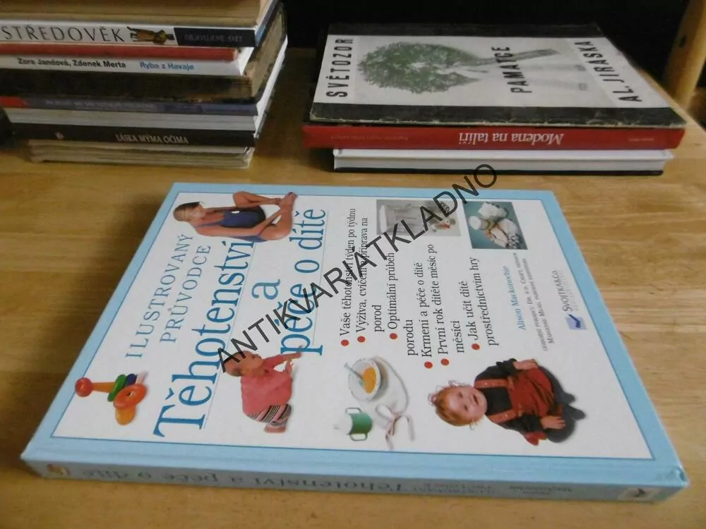 TĚHOTENSTVÍ A PÉČE O DÍTĚ, PRAKTICKÁ PŘÍRUČKA, ALISON MACKONOCHIEOVÁ, **an