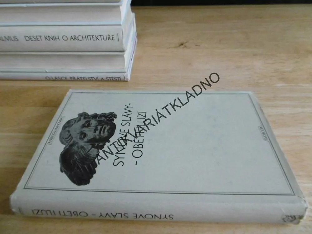 SYNOVÉ SLÁVY - OBĚTI ILUZÍ, **an