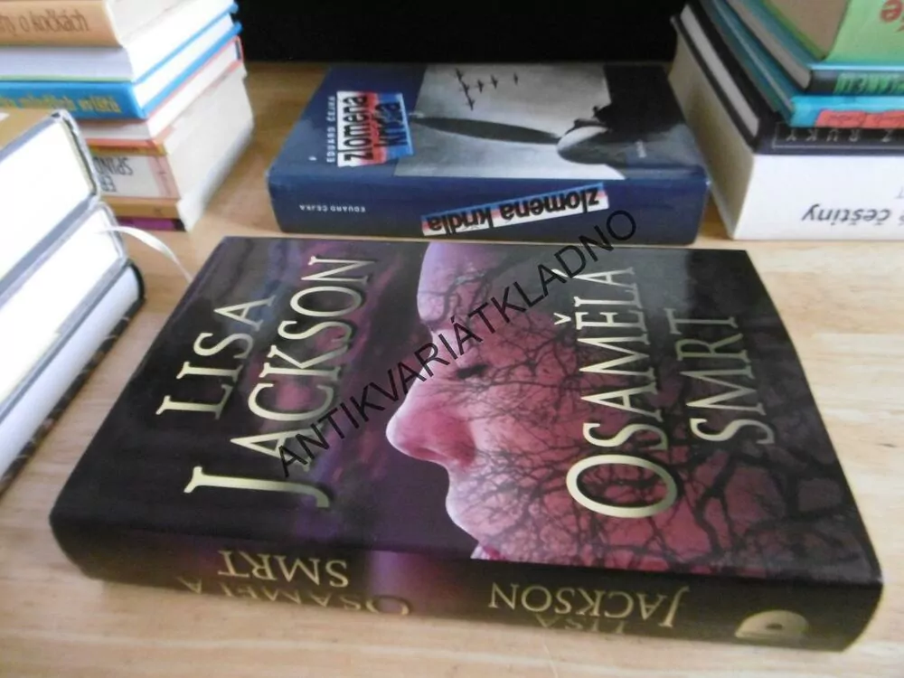 OSAMĚLÁ SMRT LISA JACKSON, **an