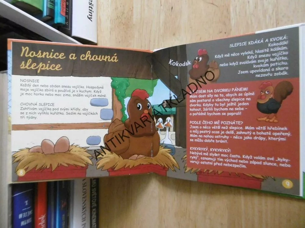 SLEPICE, ZVÍŘÁTKA NA STATKU, **an