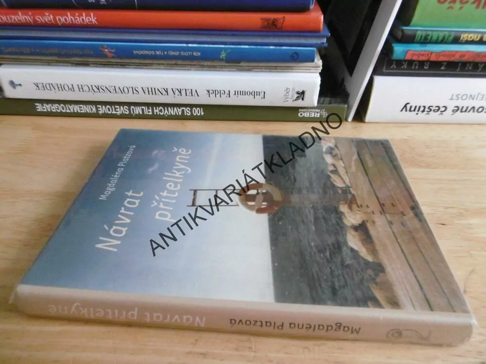 NÁVRAT PŘÍTELKYNĚ, MAGDALÉNA PLATZOVÁ,**an