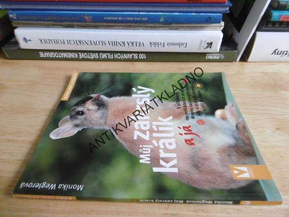 MŮJ ZAKRSLÝ KRÁLÍK A JÁ, M.WEGLEROVÁ,**an