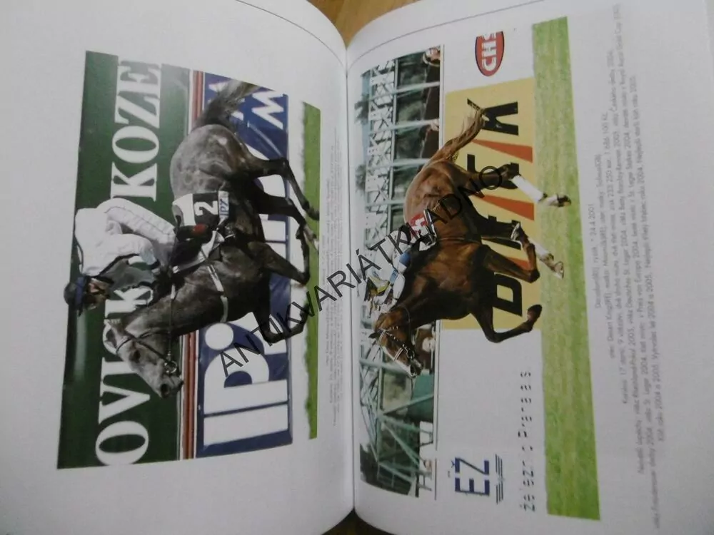 VELKÁ CHUCHLE STOLETÁ, JIŘÍ ZLÁMANÝ, KŮŇ, KONĚ, DOSTIHY, 2006