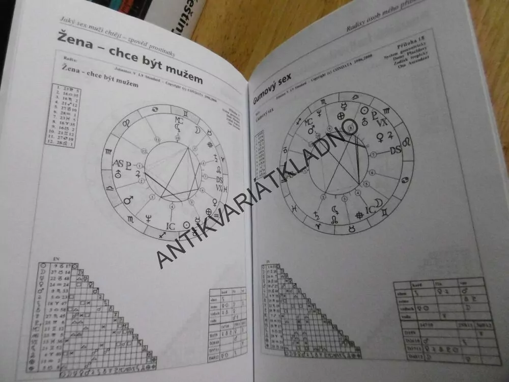 JAKÝ SEX MUŽI CHTĚJÍ, ZPOVĚĎ PROSTITUTKY, **an