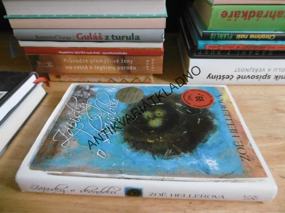 ZÁPISKY O SKANDÁLU, Z.HELLEROVÁ, **an