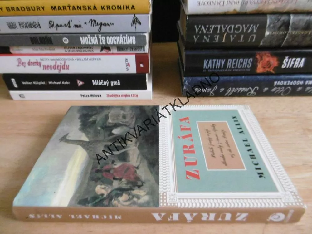 ZURÁFA, MICHAEL ALLIN, **an