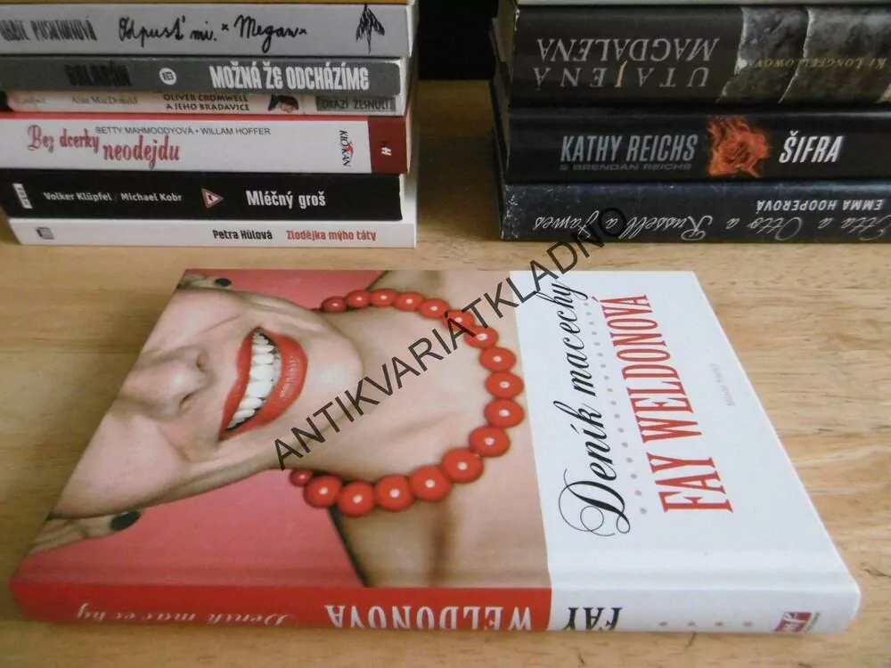 DENÍK MACECHY, FAY WELDONOVÁ, **an