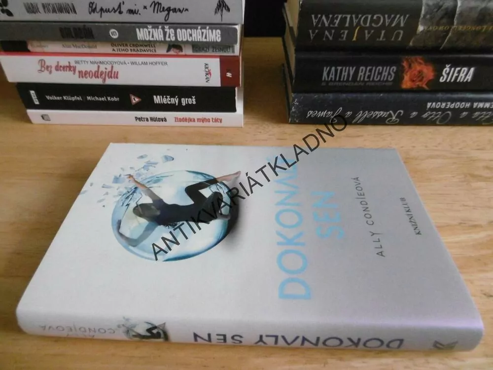 DOKONALÝ SEN, ALLY CONDIEOVÁ, **an