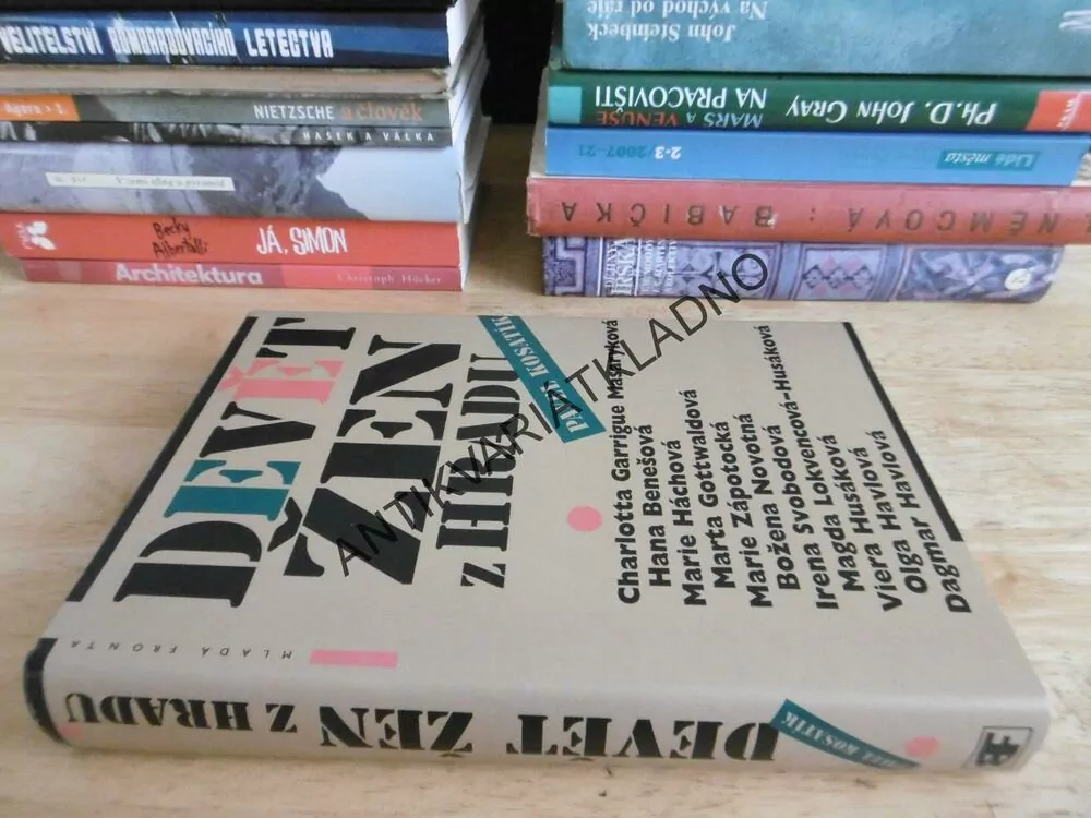 DEVĚT ŽEN Z HRADU, PAVEL KOSATÍK, **an