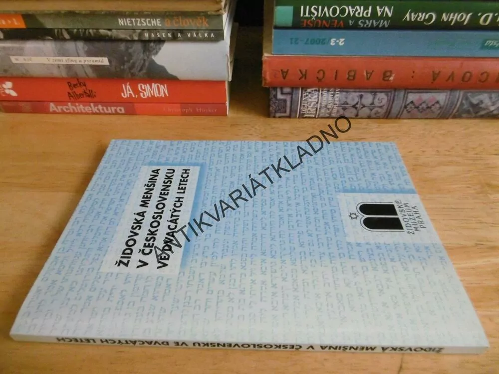 ŽIDOVSKÁ MENŠINA V ČESKOSLOVENSKU VE DVACÁTÝCH LETECH, **an