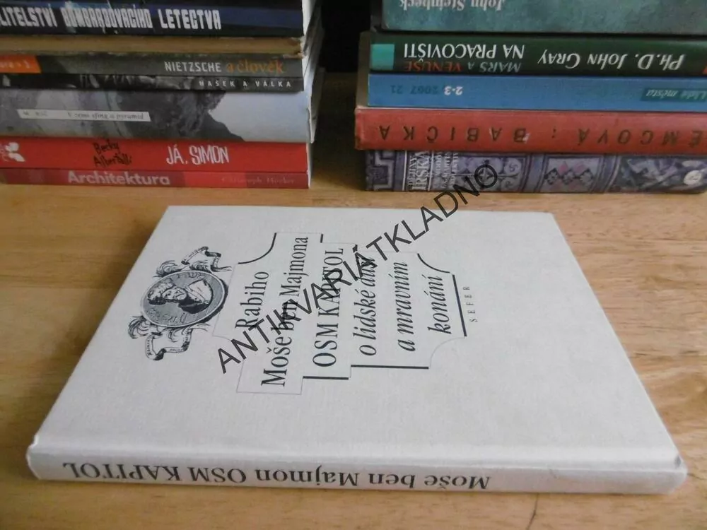 OSM KAPITOL O LIDSKÉ DUŠI A MRAVNÍM KONÁNÍ, RABIHO MOŠE BEN MAJMONA, **an