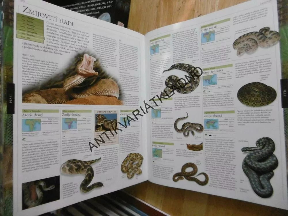 ZVÍŘE, OBRAZOVÁ ENCYKLOPEDIE ŽIVOČICHŮ VŠECH KONTINENTŮ, ZVÍŘATA, **an
