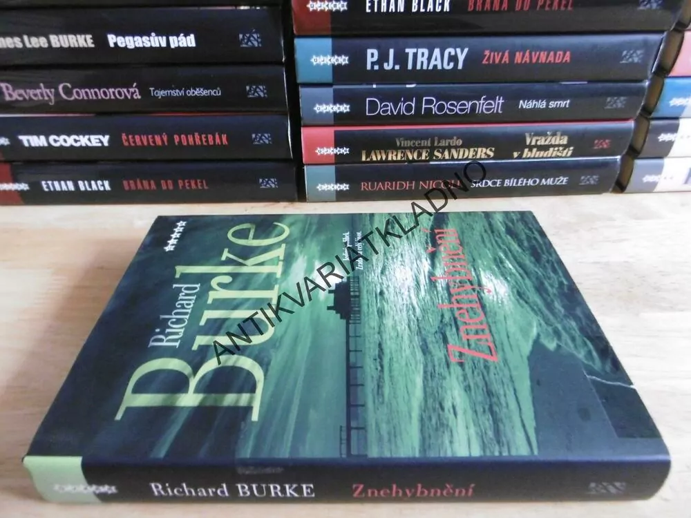 ZNEHYBNĚNÍ, RICHARD BURKE, **an