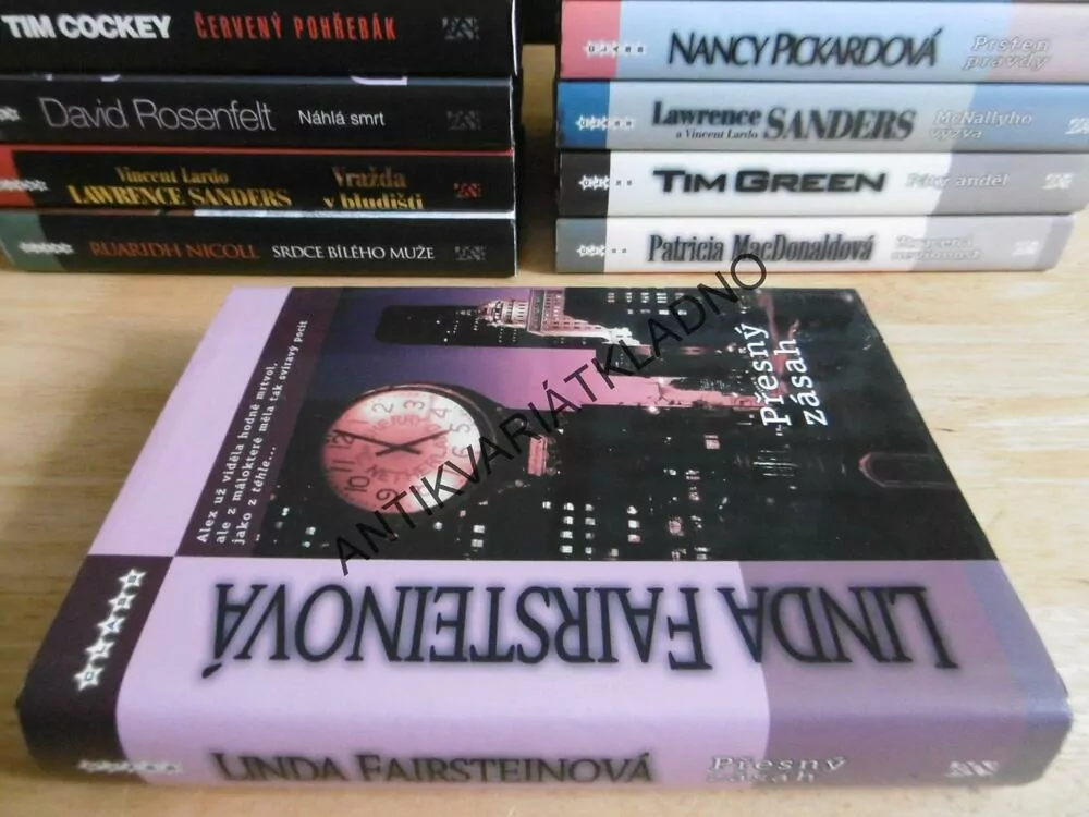 PŘESNÝ ZÁSAH, LINDA FAIRSTENOVÁ, **an