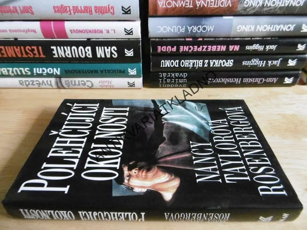 POLEHČUJÍCÍ OKOLNOSTI, NANCY TAYLOROVÁ ROSENBERGOVÁ, **an