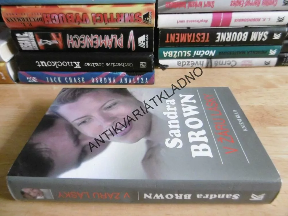 V ŽÁRU LÁSKY, SANDRA BROWN, **an