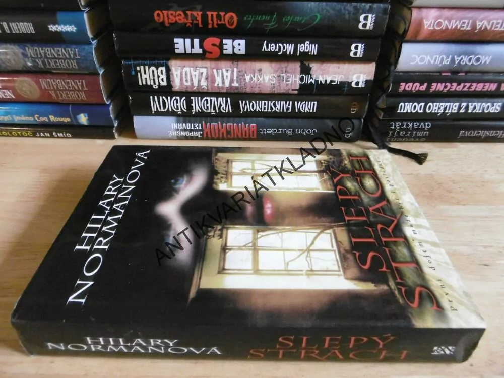 SLEPÝ STRACH, HILARY NORMANOVÁ, **an