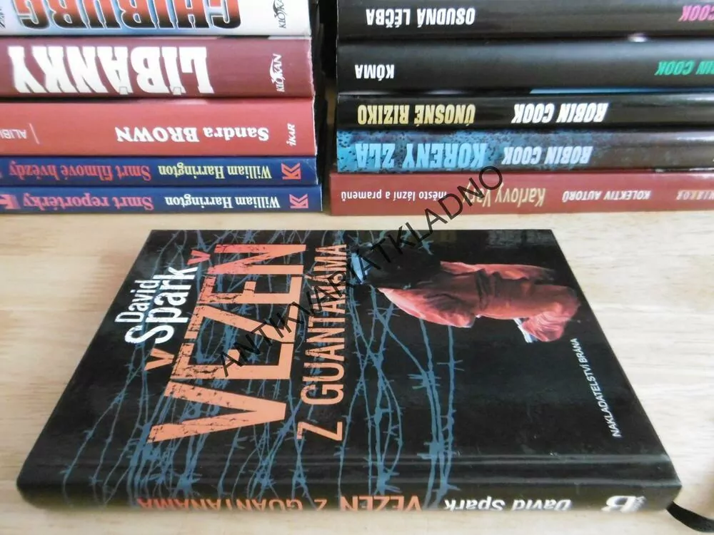 VĚZEŇ Z GUANTANÁMA, DAVID SPARK, **an